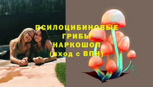 дживик Белокуриха