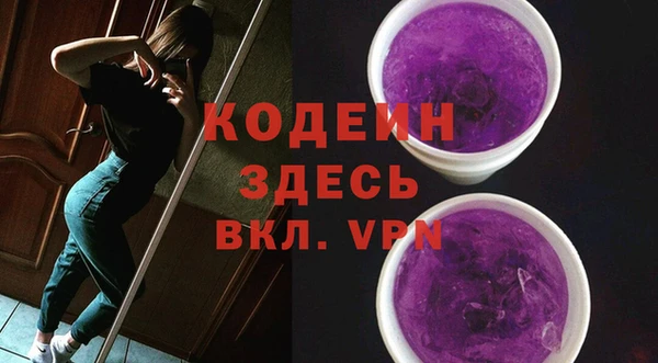 дживик Белокуриха